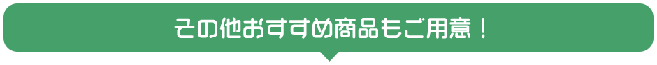 その他おすすめ商品もご用意！