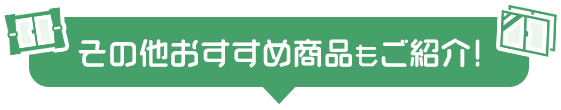 その他おすすめ商品もご紹介！